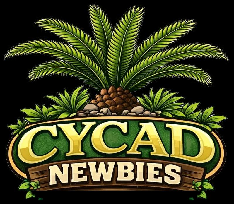 Cycad Newbies